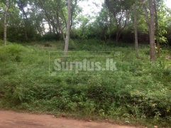 40 perches land for Sale.in Digana near Kandy.