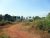 430 Perches Land in Ganemulla (Between Ja Ela &Ganemulla) for Sale.