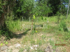Land for Sale in Kalagedihena Yakkala.