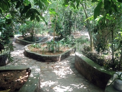 Commercial Property for Sale in Pinnawala.