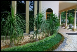 Landscaping and garden service
