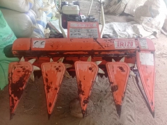 Goyam kapana mashimak