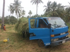 Isuzu ELF 250
