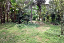 40 Perches Land with House for Sale at Madagalla Kurunegala.
