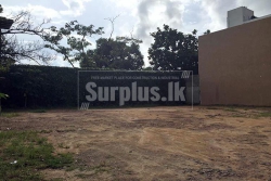 Two Land Blocks for Sale in Borella