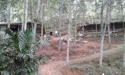 Rubber Land for sale at Mawanella