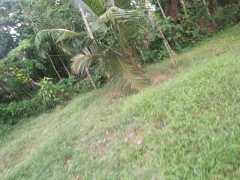 Bare Land for sale at Bandaragama
