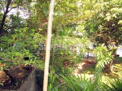 House for Sale at Egodauyana Moratuwa.