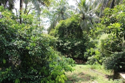 Property for Sale in Mapitigama Malwana.