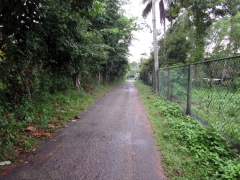 18 Perches Land for Sale in Bemmulla Gampaha.