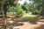 50 Perches Land with House for Sale in Nedagamuwa Gampaha.