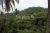 Beautiful Land for sale in Giriulla Rd. Alawwa.