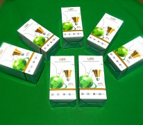 12v dc led bulbs / solar bulbs