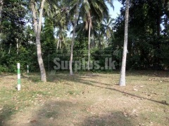 Land for Sale in Katana