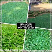 MANEL GARDEN SERVICE