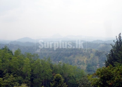 Bargain Property. Over 6 Acre Property for Sale at Peradeniya Kandy.