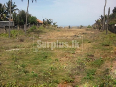 Commercial Land for Sale at Arugam Bay – Pottuvil