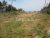 Commercial Land for Sale at Arugam Bay – Pottuvil