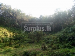 A Valuable House for Sale in Mount Lavinia.