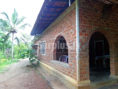 Residential Land for Sale at Nikaweratiya