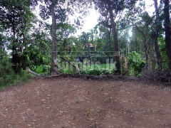 Land for Sale at Hokandara Thalawathugoda