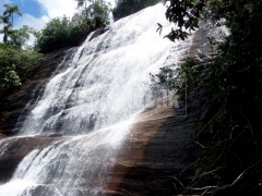 Valuable 5 Acre Land for Sale in Kithulgala