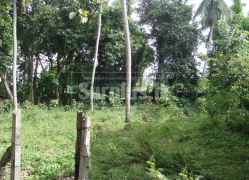 25.5 Perches Residential Land for Sale at Ekala
