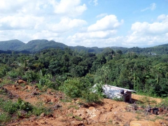Land for Sale in Kiriella Ratnapura.
