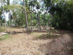 Ideal Commercial property in Negombo.