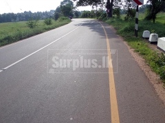 3.5 Acres Land for Sale in Bingiriya Chilaw.