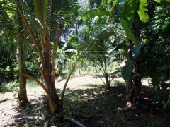 Complete House for Sale in Veyangoda