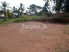 2 Land Blocks for Sale in Andiambalama Katunayake.