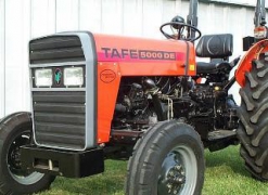 Tafe 45 D Tractor
