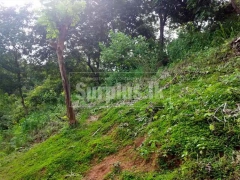 Land in Rambukkana close to Pinnawala.