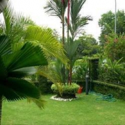 Vishwa Garden Services