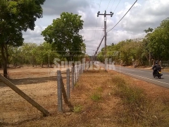 20 Acres Land for Sale in Anamaduwa.