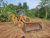 2005 P12 JCB