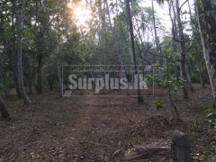 Land for sale