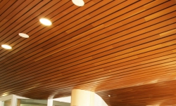 Wood Ceiling