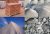 Materials Suppliers