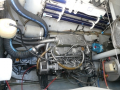 Yanmar3 cylinder 56hp Marine Engine