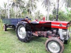 Massey Ferguson DL Tractor