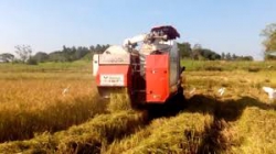 Harvestarkubota DC68 G