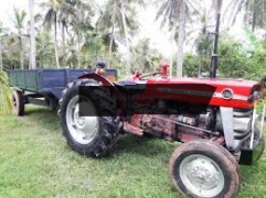 Massey Ferguson Tractor