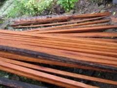 Slashes ( පොල්පරාල)