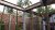 Setalin Wood