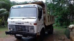 Tata Tipper Lorry 1615 2011