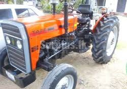 Tafe Tractor