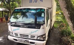 Isuzu NPR 1995