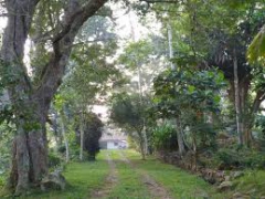 BuruthaGasakWikinimata